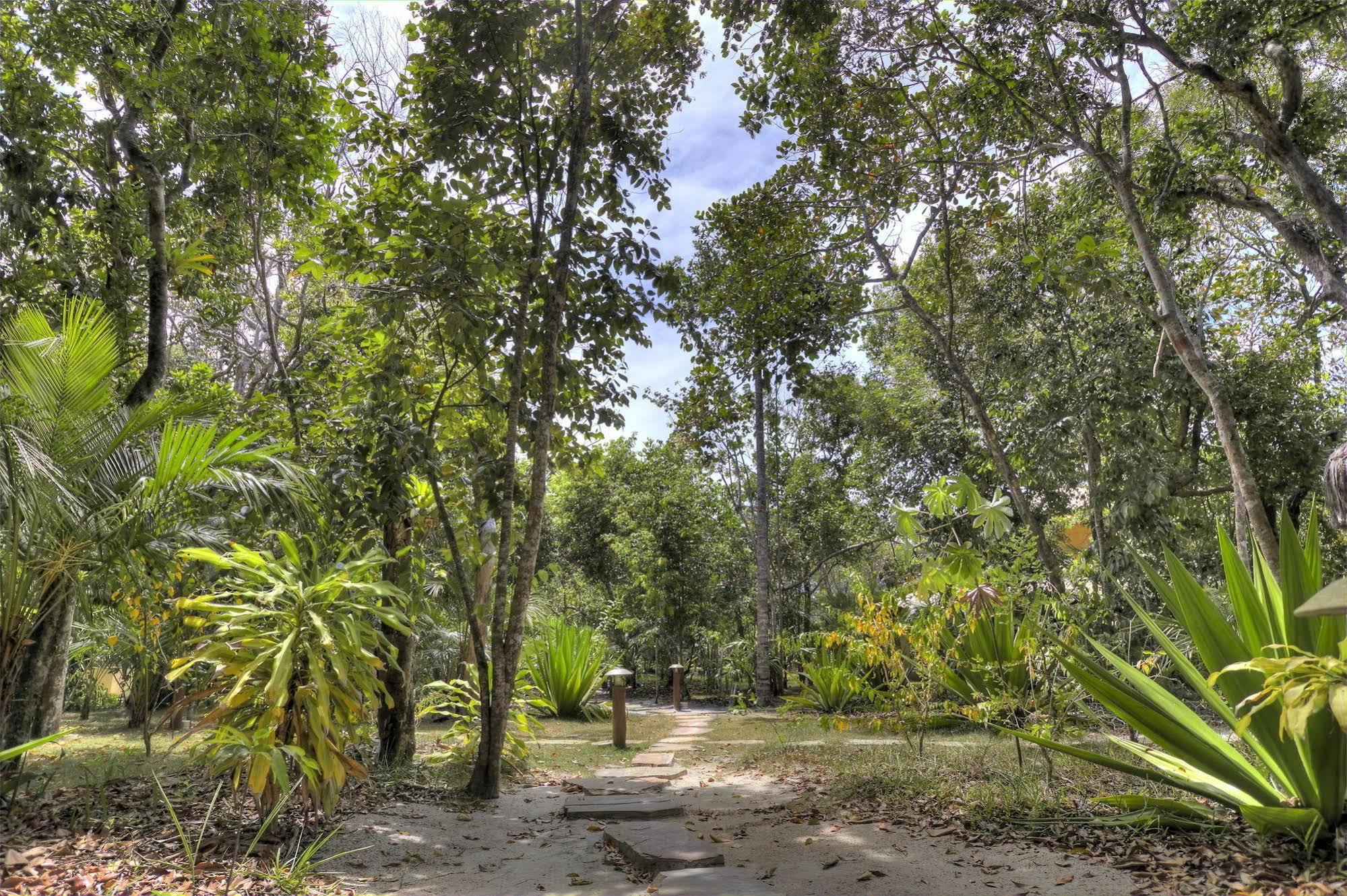 סנטו אנדרה Village Mata Encantada מראה חיצוני תמונה